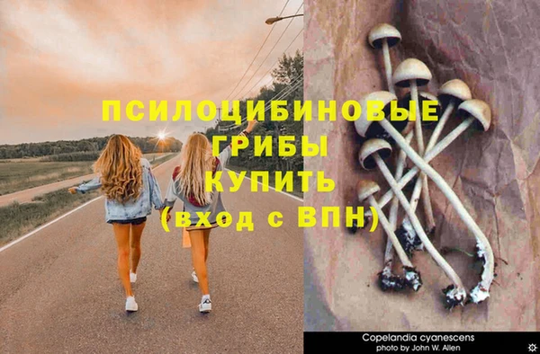 круглые Аркадак