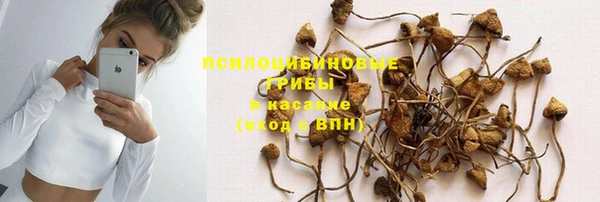 ГАЛЛЮЦИНОГЕННЫЕ ГРИБЫ Алексин
