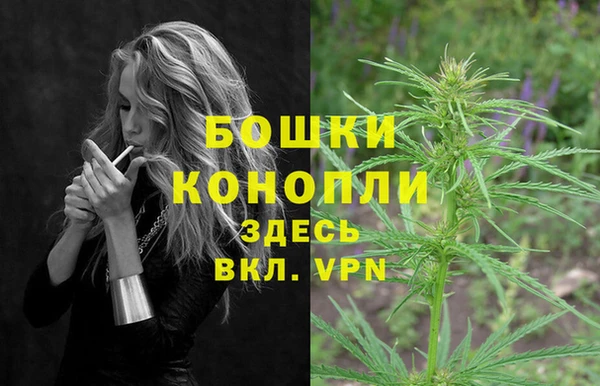 гидра Алзамай